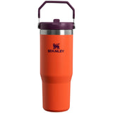 Stanley IceFlow 890ml Flip Straw Travel Tumbler - Tigerlily Plum