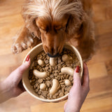 Mason Cash 20cm Slow Feeder Pet Bowl - Cane