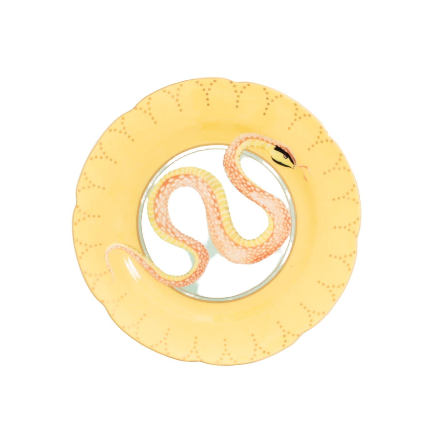 Spring Coil Wave Form Helix, Scientific Slinky, Made Of Tempered Steel Wire  500x500