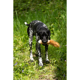 Petface Multi-Squeak Duck Plush Dog Toy