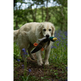 Petface Multi-Squeak Duck Plush Dog Toy