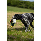 Petface Multi-Squeak Duck Plush Dog Toy