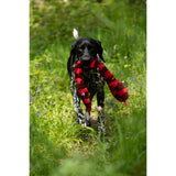Petface Buddies 70cm Snake Plush Dog Toy - Assorted