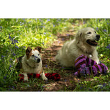Petface Buddies 115cm Snake Plush Dog Toy - Assorted