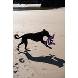 Petface Buddies Orla Octopus Plush Dog Toy - Medium
