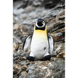 Petface Planet Panuk Penguin Plush Dog Toy