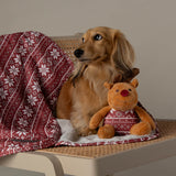 Scruffs Santa Paws Blanket & Reindeer Gift Set - Red