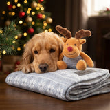 Scruffs Santa Paws Blanket & Reindeer Gift Set - Grey