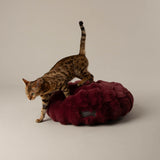 Scruffs Festive Fur 50cm Round Cat Bed - Burgundy