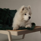 Scruffs Festive Fur Pet Blanket - Green