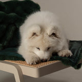 Scruffs Festive Fur Pet Blanket - Green