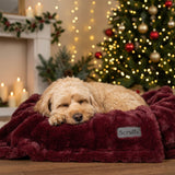 Scruffs Festive Fur Pet Blanket - Burgundy