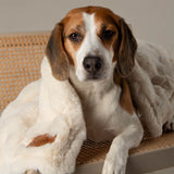 Scruffs Festive Fur Pet Blanket - Cream