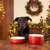 Scruffs Winters Tail 19cm Stoneware Food & Drink Bowl Gift Set - Red