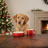 Scruffs Winters Tail 15cm Stoneware Food Bowl & Mug Gift Set - Red