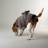 Scruffs Expedition Deluxe Noodle & Microfibre Dog Drying Coat - Medium - Storm Grey
