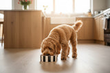Scruffs Amalfi 15cm Stoneware Pet Bowl - Black