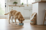 Scruffs Amalfi 19cm Stoneware Pet Bowl - Blue