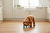 Scruffs Amalfi 15cm Stoneware Pet Bowl - Blue