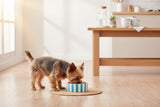 Scruffs Amalfi 13cm Stoneware Pet Bowl - Blue