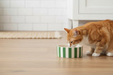 Scruffs Amalfi 13cm Stoneware Pet Bowl - Green