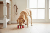 Scruffs Amalfi 19cm Stoneware Pet Bowl - Red