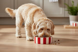 Scruffs Amalfi 15cm Stoneware Pet Bowl - Red