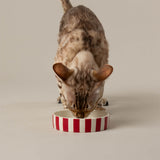 Scruffs Amalfi 13cm Stoneware Pet Saucer - Red