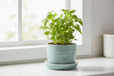 Le Creuset 14cm Stoneware Herb Planter with Tray - Sea Salt