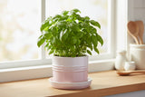 Le Creuset 14cm Stoneware Herb Planter with Tray - Shell Pink