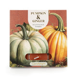 Candlelight Set Of 9 Scented Tealights - Pumpkin & Ginger