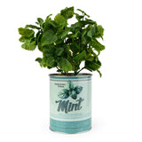 Candlelight Artificial Mint Plant In Tin Can Pot