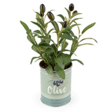 Candlelight Artificial Olive Plant In Tin Pot