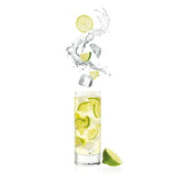 Epicurean Lemon & Lime Eco-Friendly Paper Straws - Pack of 30
