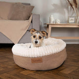 Scruffs Ellen 55cm Donut Bed - Tan