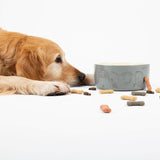 Scruffs Classic 19cm Stoneware Pet Food Bowl - Grey