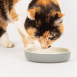 Scruffs Classic 13cm Stoneware Pet Food Saucer - Grey