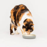 Scruffs Classic 13cm Stoneware Pet Food Saucer - Grey