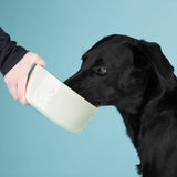 Scruffs Icon 19cm Stoneware Pet Food Bowl - Cream