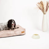 Scruffs Icon 21cm Stoneware Long Eared Dog Food Bowl - Cream