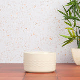 Scruffs Icon 15cm Stoneware Pet Water Bowl - Cream