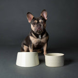 Scruffs Icon 18cm Stoneware Flat Faced Pet Food Bowl - Cream