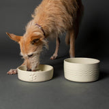 Scruffs Icon 20cm Stoneware Slow Feeder Pet Bowl - Cream