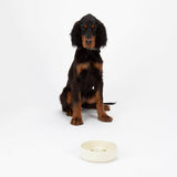 Scruffs Icon 20cm Stoneware Slow Feeder Pet Bowl - Cream