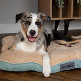 Scruffs Cosy 82cm x 58cm Mattress - Assorted