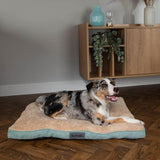 Scruffs Cosy 82cm x 58cm Mattress - Assorted