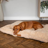 Scruffs Cosy 82cm x 58cm Mattress - Assorted