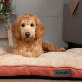 Scruffs Cosy 82cm x 58cm Mattress - Assorted