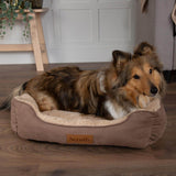 Scruffs Cosy 60cm x 50cm Box Bed - Assorted
