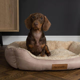 Scruffs Cosy 60cm x 50cm Box Bed - Assorted